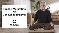 20 Minute Guided Meditation with Jon Kabat-Zinn PhD