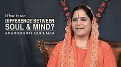 What is the difference between soul and mind? | Anandmurti Gurumaa