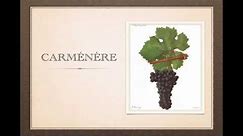 Winecast: Carménère