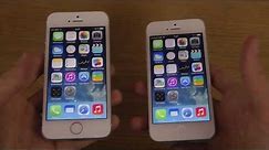 iPhone 5S White Silver Edition vs. iPhone 5 White Edition - Which Is Better?