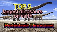 Prehistoric dinosaurs: TOP 5 Biggest Dinosaurs That Ever Existed on Earth