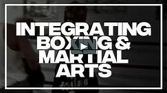 INTEGRATING BOXING AND MARTIAL ARTS