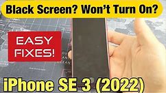 iPhone SE 3 (2022): How to Fix Black Screen or Won't Turn On (Easy Fixes!)
