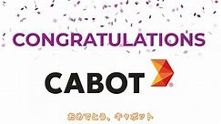 Cabot Corporation Makes CR Magazine's 2019 List of 100 Best Corporate Citizens (Japanese)