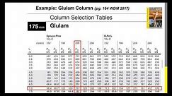 🇨🇦 Video 4.2 (Sizer) - WDM Example (Glulam Column)