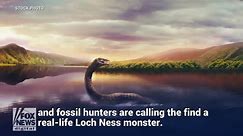 Fossil of 'real-life Loch Ness Monster' found in Antarctica