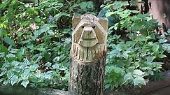 Chainsaw Carving: How to Carve Your First Bear in 9 Minutes or Less