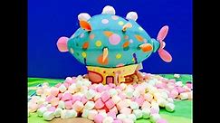 Pinky Ponk Balloon Blimp Lands On Rainbow Mini Marshmallows
