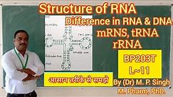 RNA | Structure of RNA | Difference in RNA & DNA | Types of RNA | Biochemistry | BP203T | L~11