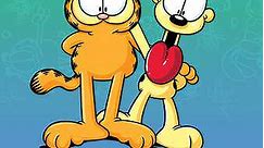 Garfield and Friends: Season 3 Episode 7 Return of the Buddy Bears/Reigning Cats and Dogs