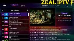 Zeal-IPTV-French-channels-review.mp4