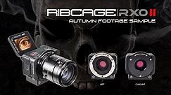 Ribcage RX0 II - Autumn Footage Sample