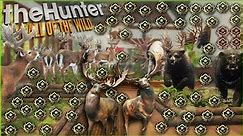 The INSANE 6400 Hour Trophy Lodge Tour With 60 Great Ones & 15+ Super Rares! Call of the wild