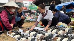 Vang Hoa sells pigeons at the market | King Kong Amazon harvests cassava to make wine, vang hoa