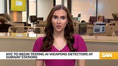 Balancing safety and privacy: NYC subways to test AI weapons detection