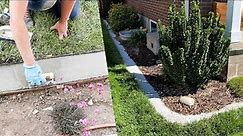 DIY Concrete Landscape Edging - My experience!