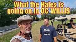What the Hales is going on in OC WILLIS