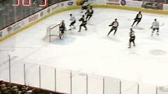 VIDEO: ECHL goalie scores goal in wackiest way possible