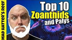 Top 10 Zoanthids and Palys
