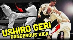 Ushiro Geri The Most Dangerous Kick in Karate