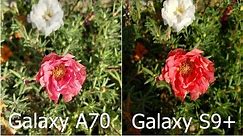 Samsung Galaxy A70 vs S9 Plus Real Life Camera Comparison