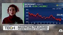 Watch CNBC's full interview with Baird's Will Power and Mighty Capital's SC Moatti