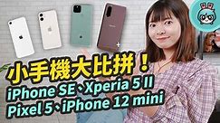 4 支小手機外觀、規格、拍照大比拼！iPhone SE、iPhone 12 mini、Xperia 5 II、Google Pixel 5─影片 Dailymotion