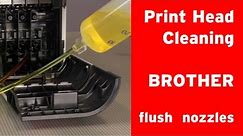 How to clean Brother inkjet printer´s print head clogged nozzles?