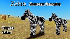 Zebra Showcase Gameplay | Roblox | Playbox Safari