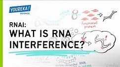 RNAi: What is RNA Interference?