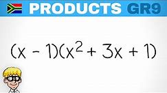 Gr 9 Products : binomial x trinomial