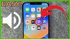 How To Change Ringtone On iPhone (Solved)