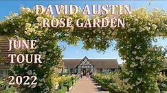 David Austin Rose Garden - June Tour 2022