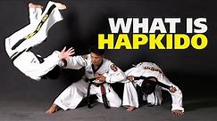 Understanding Hapkido: History, Techniques, and Philosophy