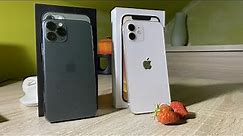 iPhone 12 vs iPhone 11 Pro in 2022 (Which one is better?)