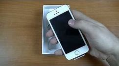 Apple iPhone 5s Gold / Золотой. Комплектация и внешний вид. Распаковка. VeryVery.ru