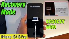 How to Put iPhone 13/13 Pro Into Recovery Mode