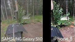 Galaxy S10 vs iPhone 8