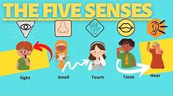 The Five Senses Part 2 | Kids Read Aloud |I Have Five Senses |Bedtime Stories