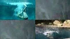 Sanyo Xacti VPC-E2 Video Demo - Using the Camera Underwater