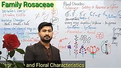 9.11 General Characters of Family Rosaceae Fsc Class 11 Biology by irtisamsbiology