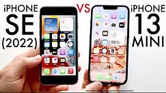 iPhone 13 Mini Vs iPhone SE (2022) In 2023! (Comparison) (Review)