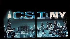 'CSI: NY': The Cast Through The Years