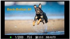 Back-Button AF on Sony Alpha Cameras