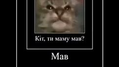 Russian Cat Meme - Mab ORIGINAL