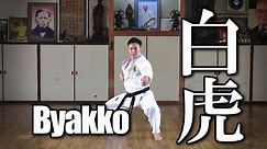 International Meibukan Goju-ryu Karate Vol.1 - The Traditional Kata, Kumite and Training Method -