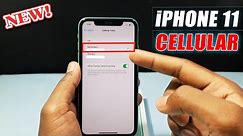 How to Turn on Cellular Data on iPhone 11?
