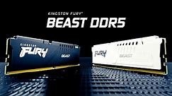DDR5 Memory with speeds up to 6000MT/s – Kingston FURY Beast DDR5