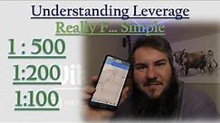 Forex leverage and margin explained. The most simple explanation on YouTube.