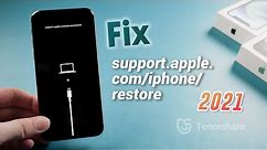 Top 5 Ways to Fix support.apple.com/iphone/restore iPhone X